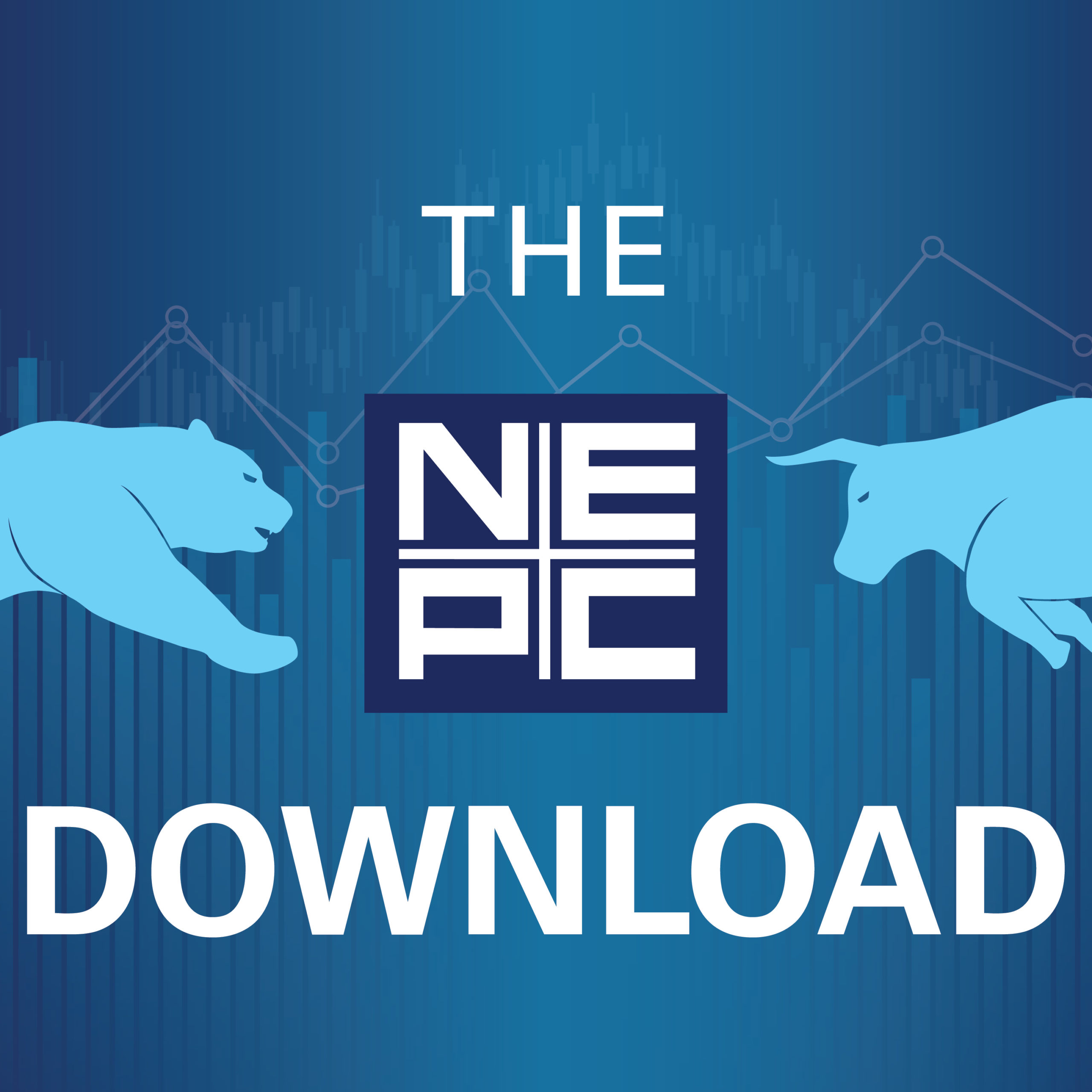 The NEPC Download: Measurement, Net Zero and Greenwashing — Part 2