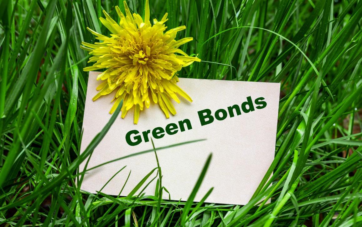 Study Presentation on EU Green Bonds | Workshops | Events | ECON | Committees | European Parliament